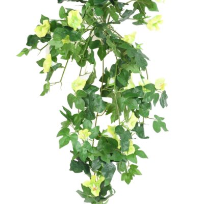 petunia hanging bush scaled