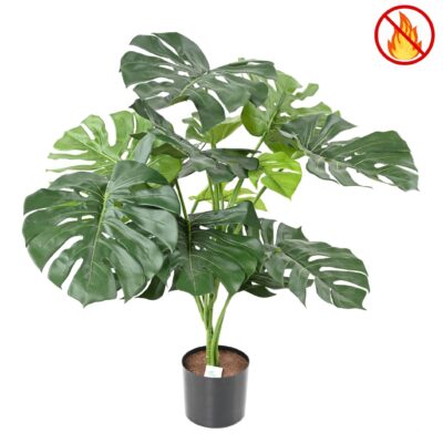 philodendron monstera giant 15 95cm fr fire resistant
