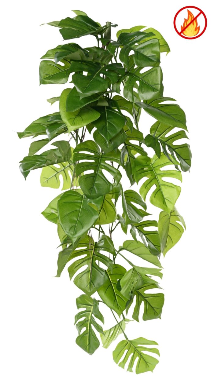 philodendron monstera hanging bush 120 fr fire resistant scaled