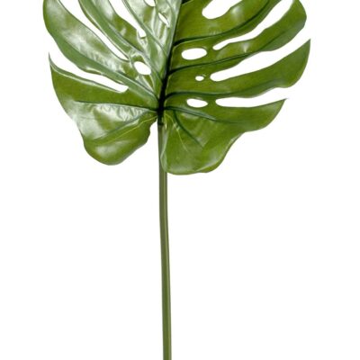 philodendron monstera rod 75 cm l fr fire resistant
