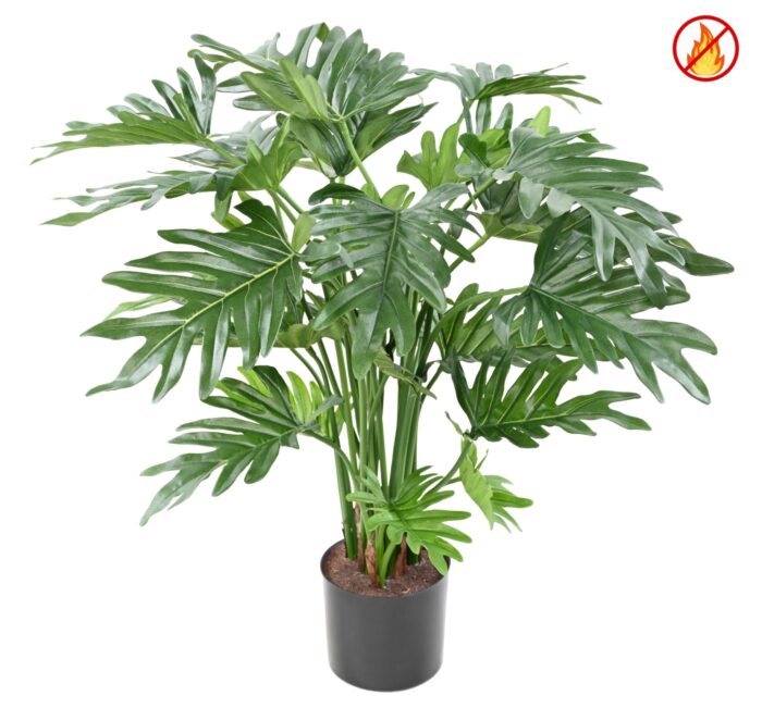 philodendron selloum 63cm fr fire resistant scaled
