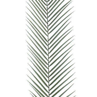 phoenix palm plastic gm