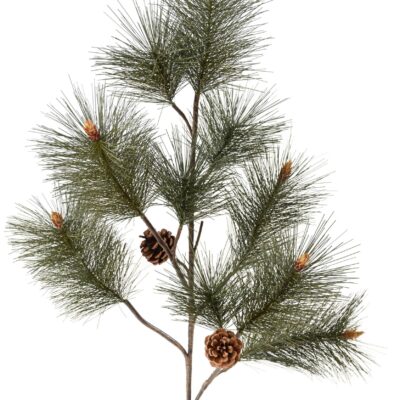 pin spray geant scaled