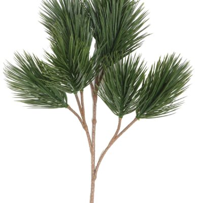 pine spray 38 scaled