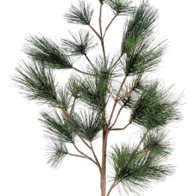 pine spray 80 scaled