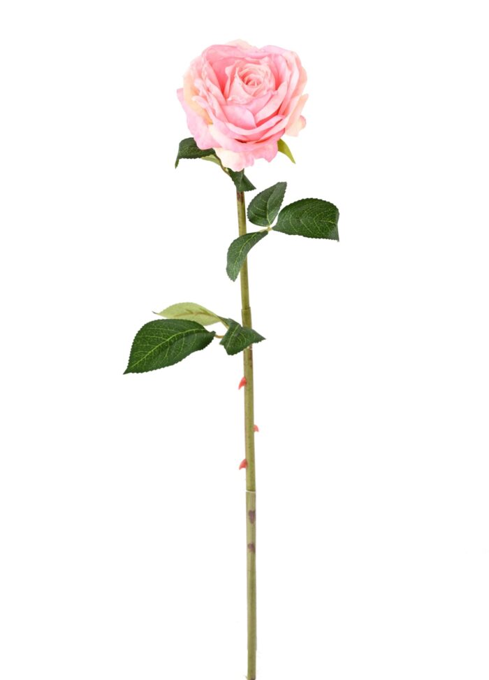 pink scaled