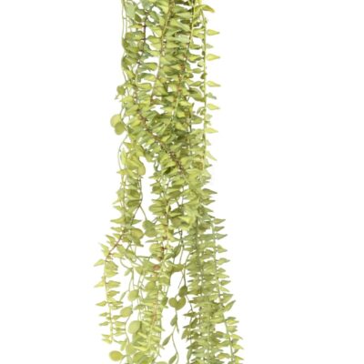 plant fall variety scaled