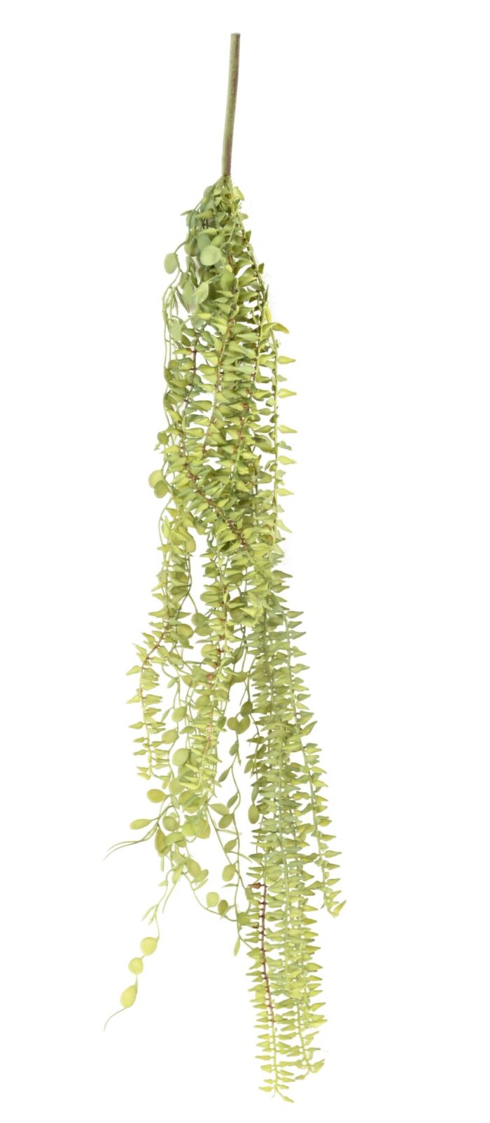 plant fall variety scaled
