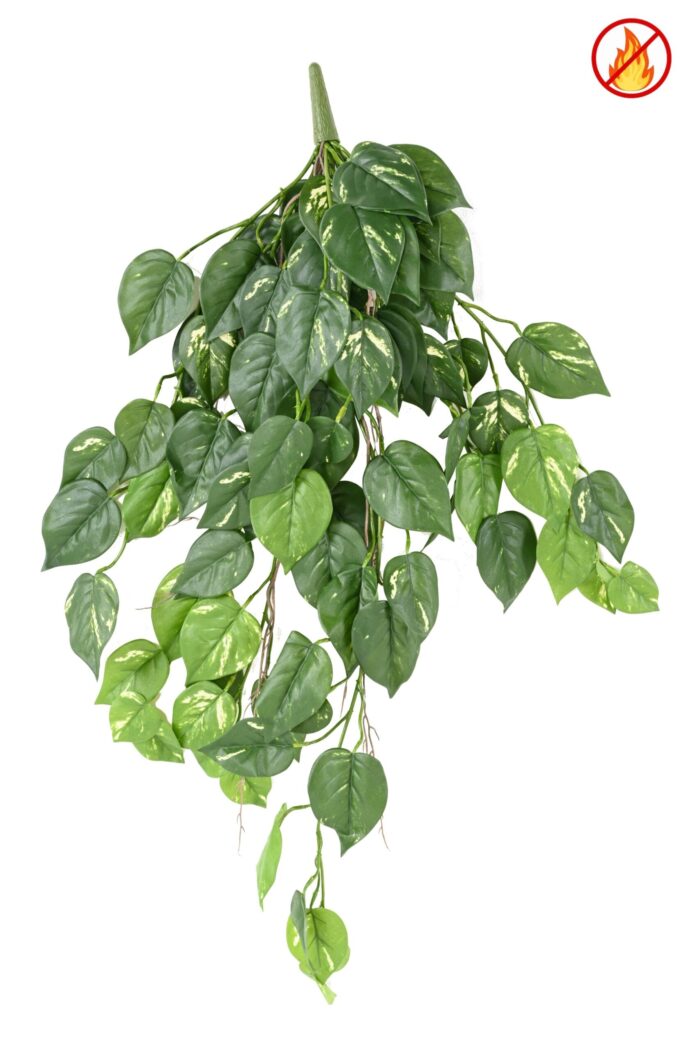 pothos hanging bush 95 fr fire resistant scaled
