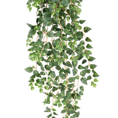 pothos mini 110 1 scaled