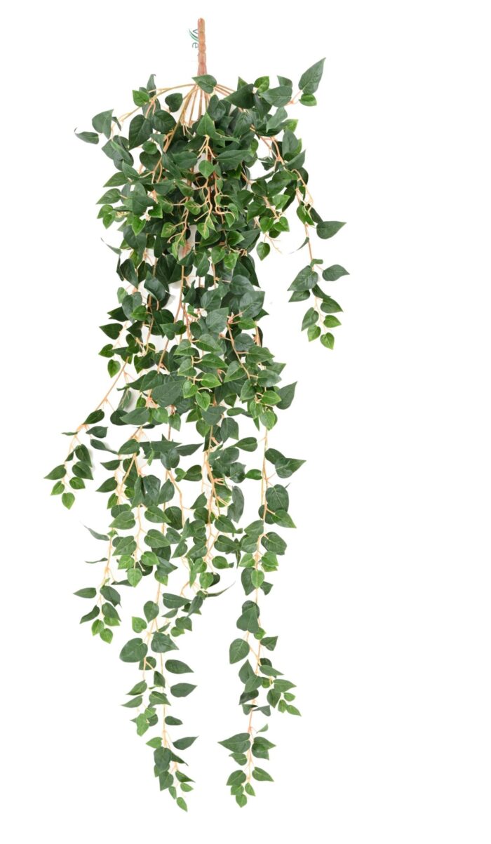 pothos mini 110 scaled