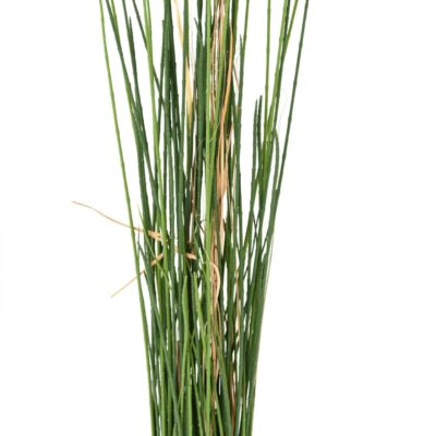 presle grass uv 100 scaled