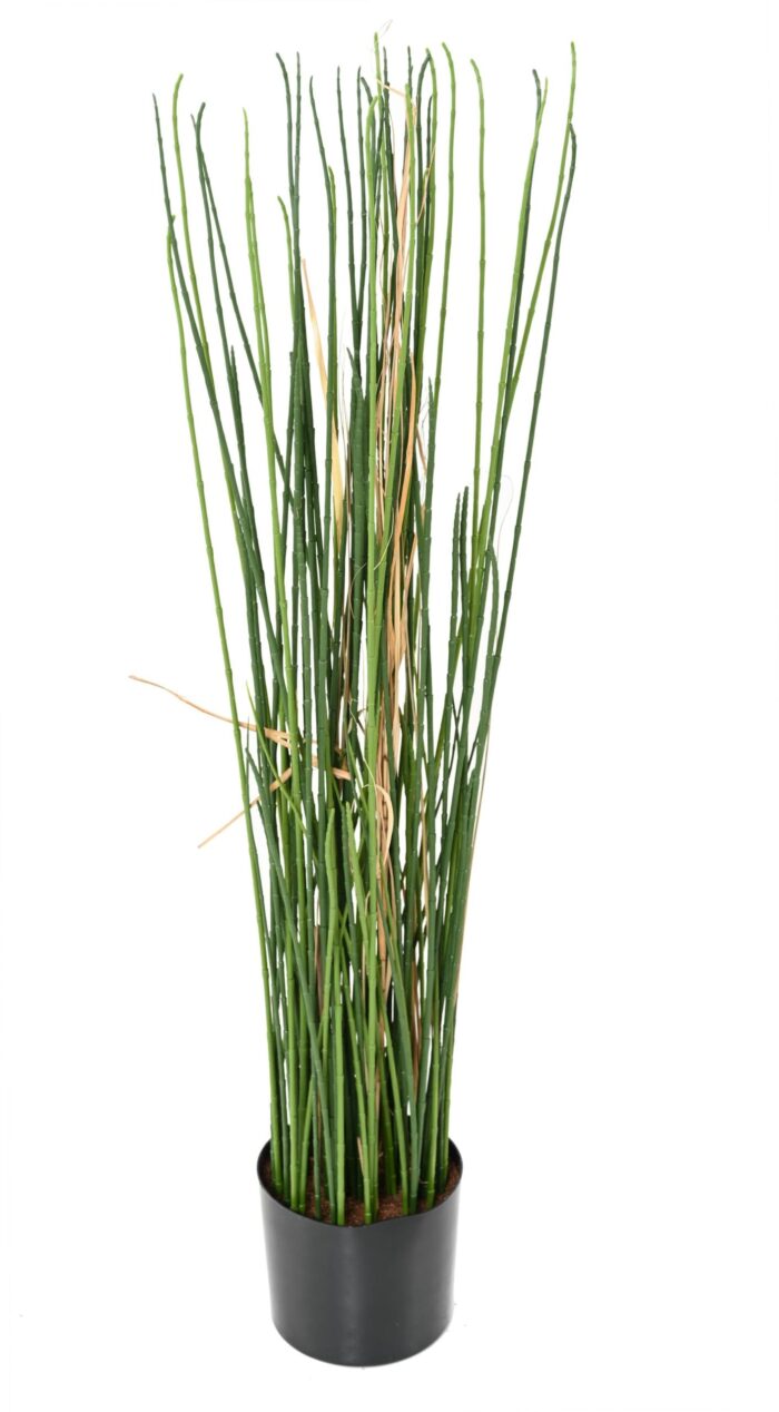 presle grass uv 100 scaled