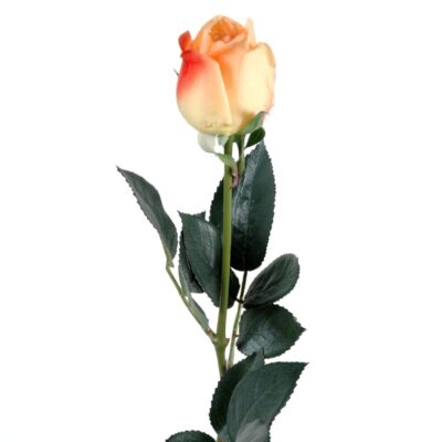 rose button lisa natural touch scaled