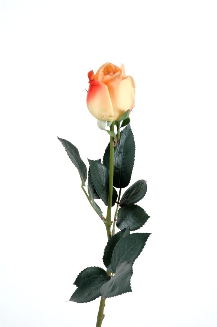 rose button lisa natural touch scaled