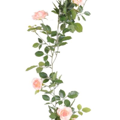 rose garland royal 140 1 scaled