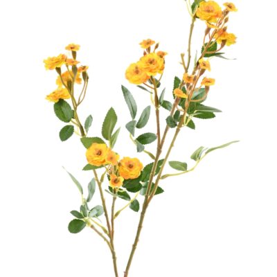 rose mini 77 2 scaled