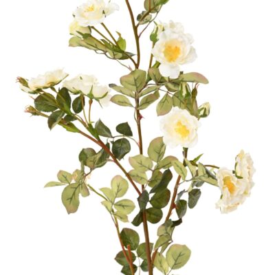 rose mini branch 1 scaled