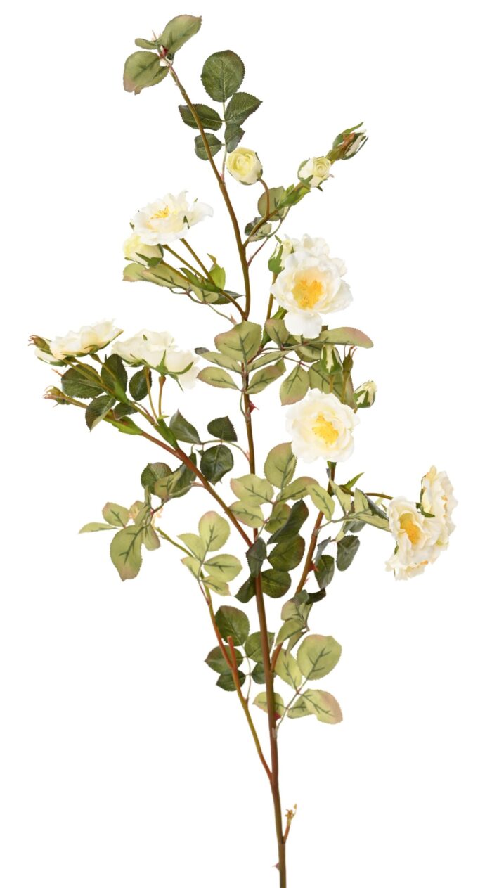 rose mini branch 1 scaled