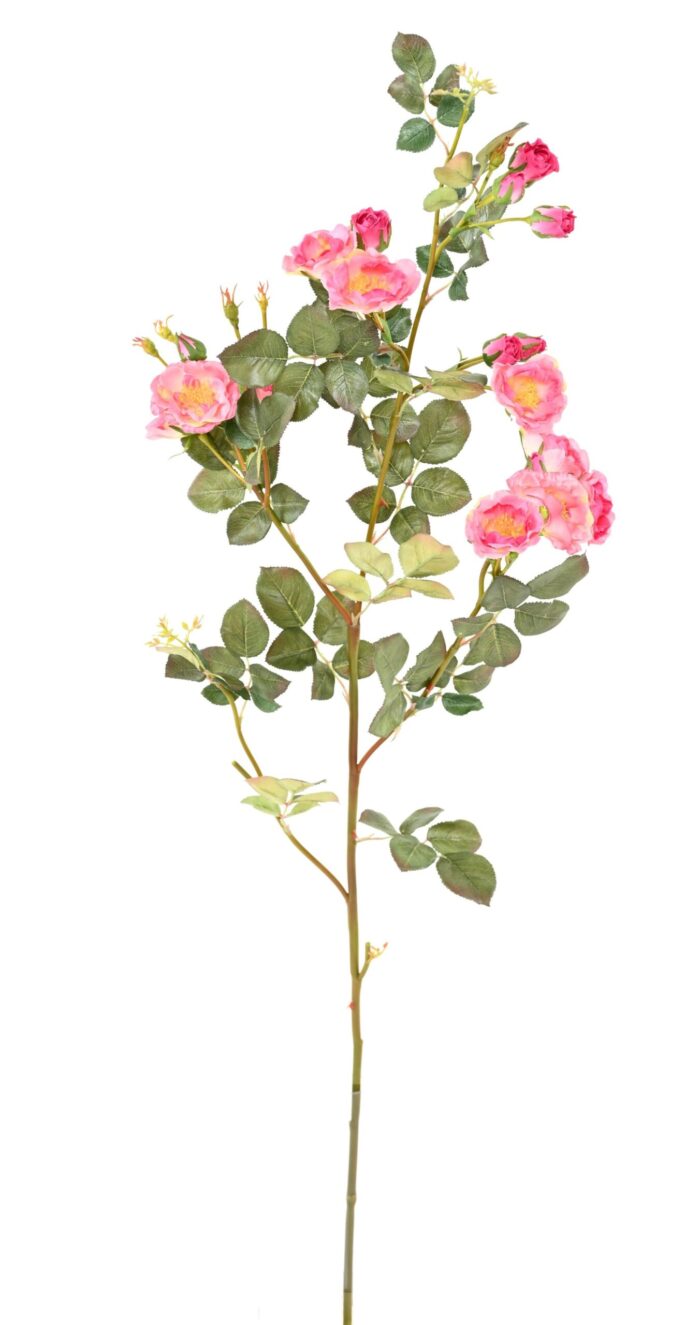 rose mini branch scaled