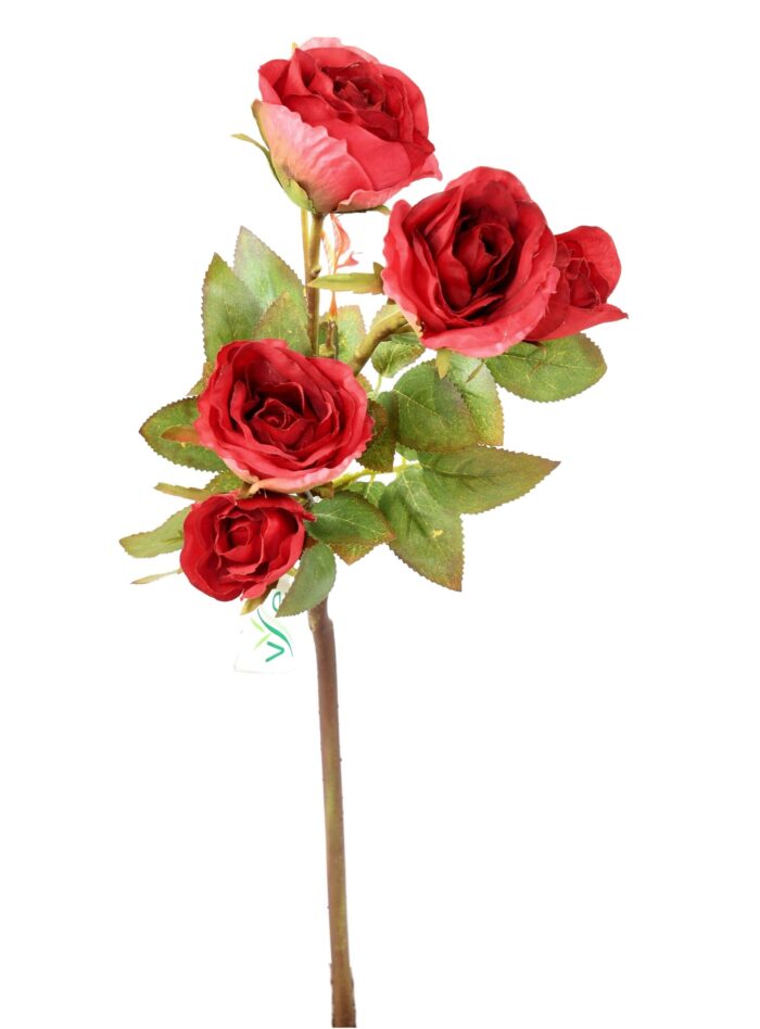 rose multi spray 45 1 scaled