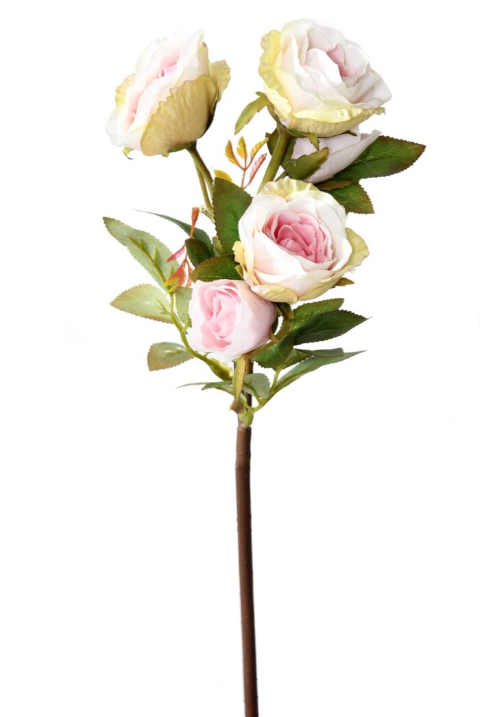 rose multi spray 45 2 scaled