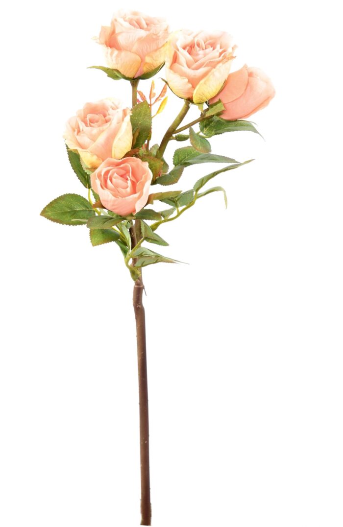 rose multi spray 45 3 scaled