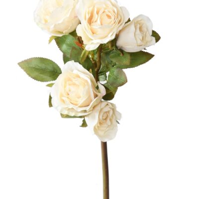 rose multi spray 45 scaled