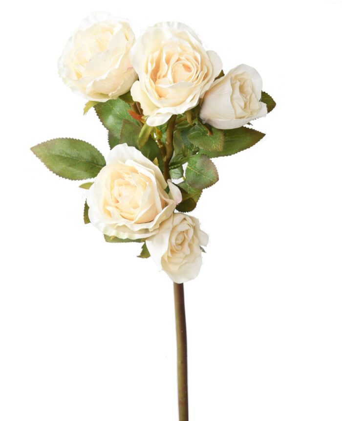 rose multi spray 45 scaled