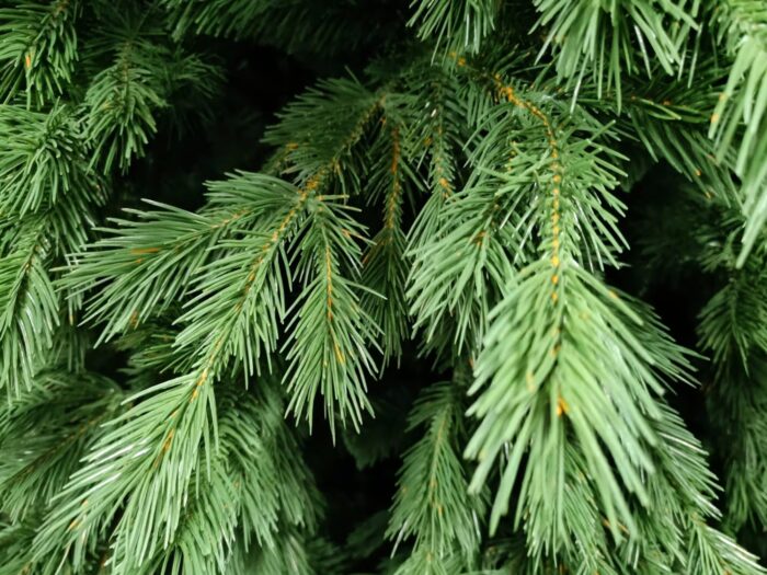 Künstliche Rottanne PE/PVC, ca. 150cm – Bild 3