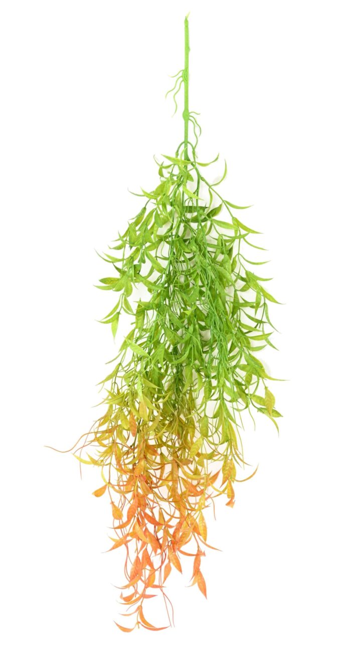 salix scaled