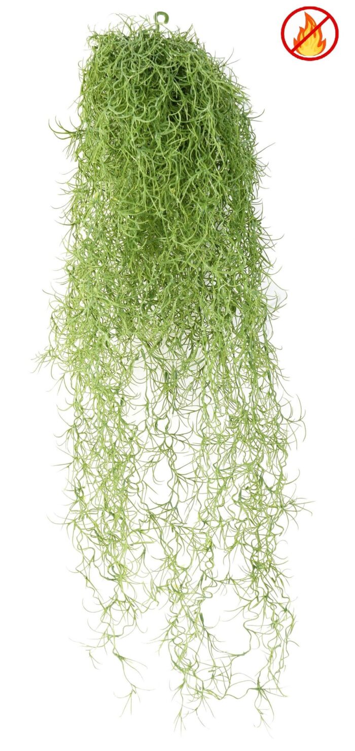 tillandsia fr fire resistant