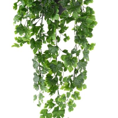 vine fall 68 pot scaled