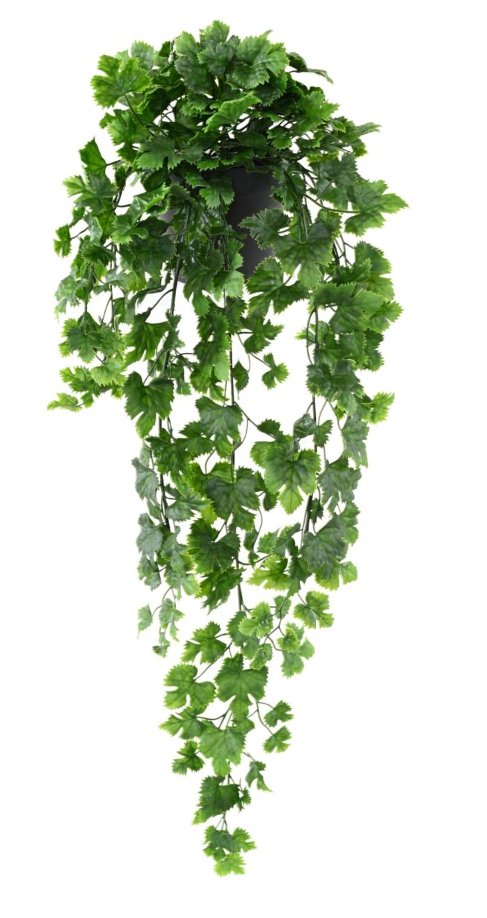 vine fall 68 pot scaled