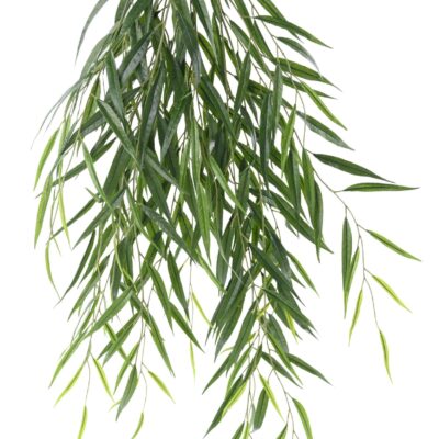 willow hanging bush 105 fr fire resistant scaled