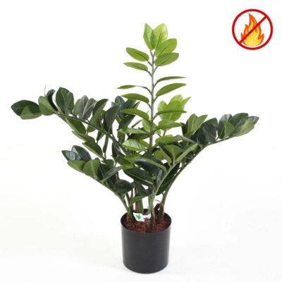 zamia 60 fr fire resistant