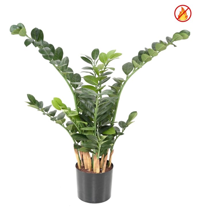 zamia 90 fr fire resistant scaled