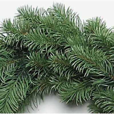 71rnTYnMIL. AC SL1000