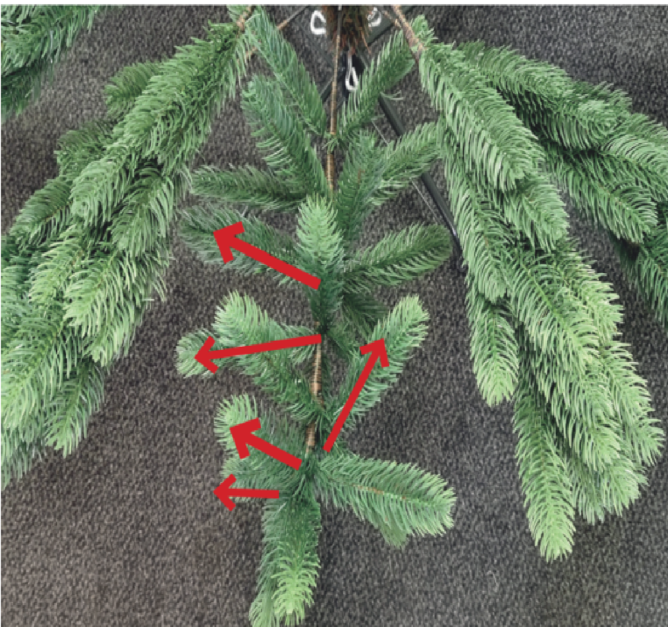 Äste und Zweige des Unterteils ausklappen