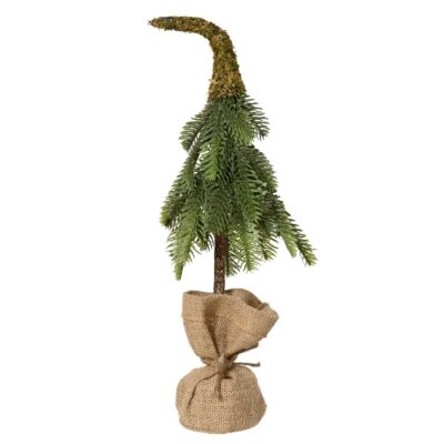 fir tree mini forest